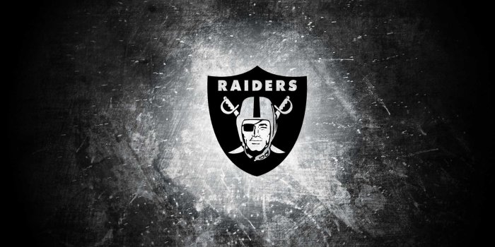 1920x1200 Desktop Raiders Logo Wallpapers HD Background Photos Windows Mac