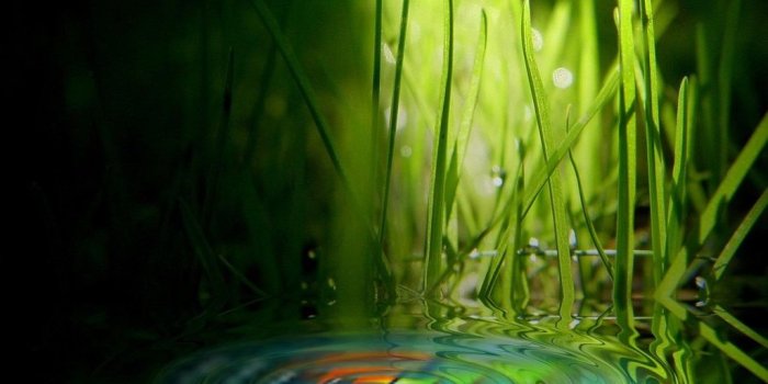 1024x768 Download free HD windows vista themes for your desktop background or