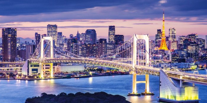 1332x850 Wallpaper lights, lights, Japan, Tokyo, Japan, night city, bridge