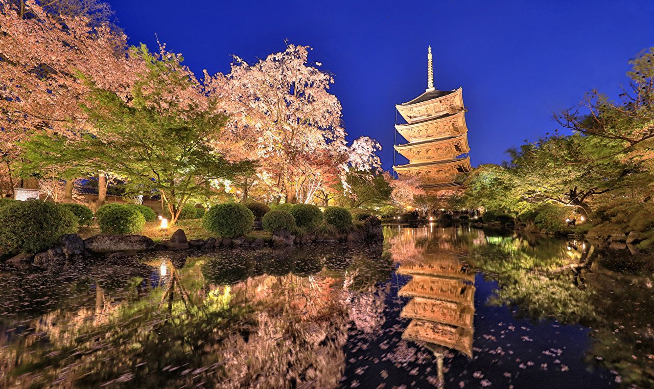 1280x761 Desktop Wallpapers Tokyo Japan Nature Pond park Evening Shrubs