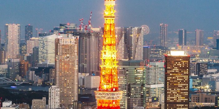 1440x2560 Wallpaper Tokyo Tower, Tokyo, Japan, Cityscape, Skyline, HD, 4K