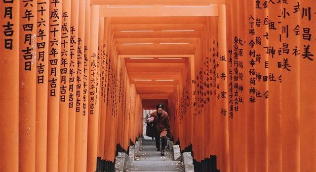 640x1385 Tokyo Japan iPhone X Wallpapers Free Download