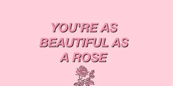 750x1268 Pimk Aesthetic Wallpapers - Top Free Pimk Aesthetic Backgrounds