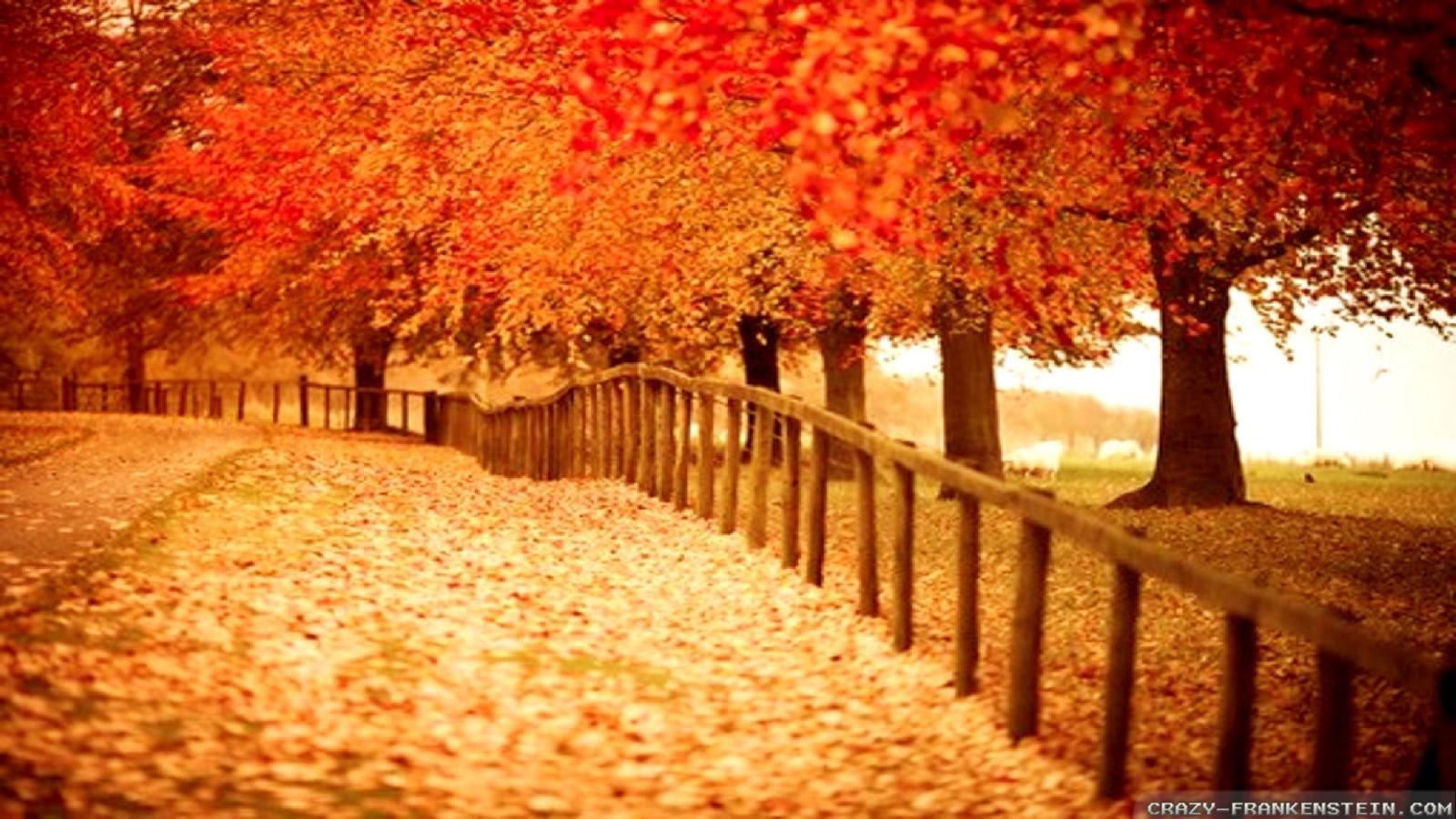 2560x1440 ideas about Fall Desktop Backgrounds Black 2560x1440