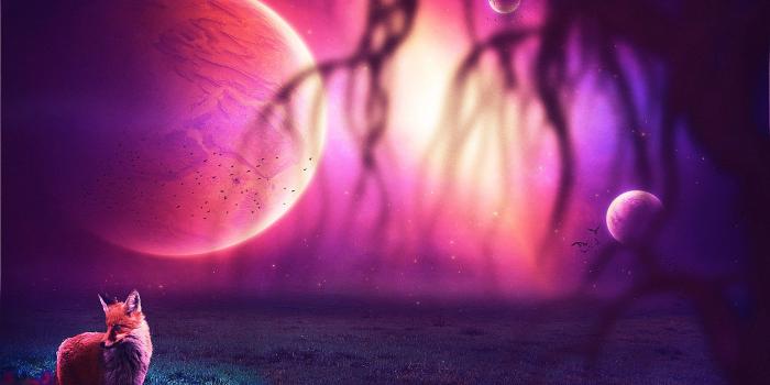 3455x2592 Galaxy Fox Wallpapers - Top Free Galaxy Fox Backgrounds