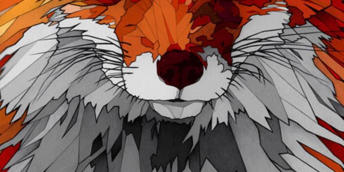 1440x2960 Galaxy Fox Wallpapers - Top Free Galaxy Fox Backgrounds