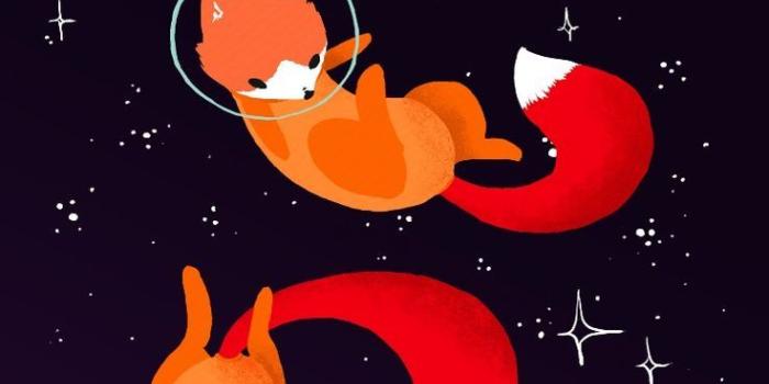 736x1309 Galaxy Fox Wallpapers - Top Free Galaxy Fox Backgrounds