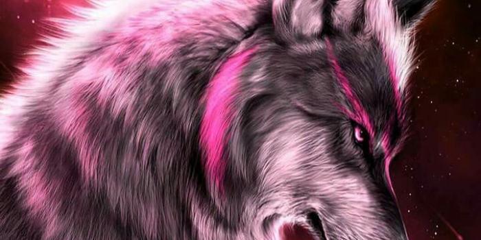 720x1280 Wolves/Wolfs | Wolves/Wolfs in 2019 | Wolf painting, Wolf wallpaper