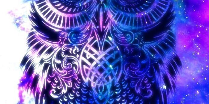 750x1334 65+ Galaxy Owl Wallpapers - Download at WallpaperBro