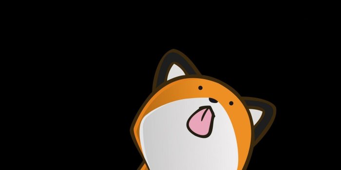 1920x1200 Stupid Wallpaper (72+ images)