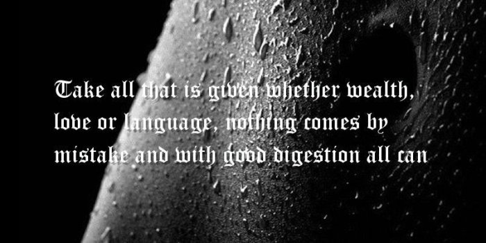 800x1280 50+ Prosperous iPhone Wallpapers - Download at WallpaperBro