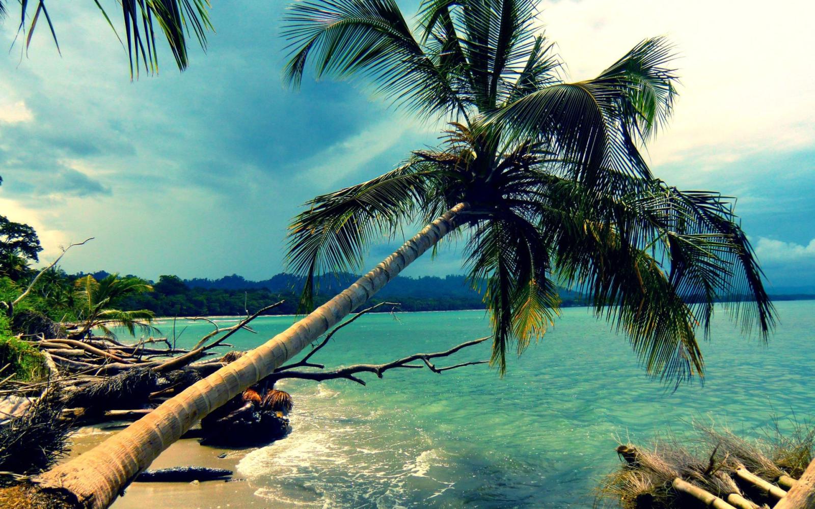 1920x1200 Free download HD Cool Mexican Desktop Wallpapers [1920x1200] for