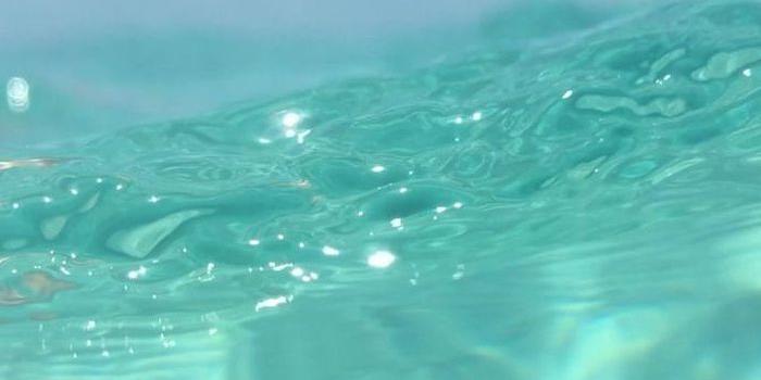 700x1244 ▷ 1001 + amazingly cute backgrounds to grace your screen