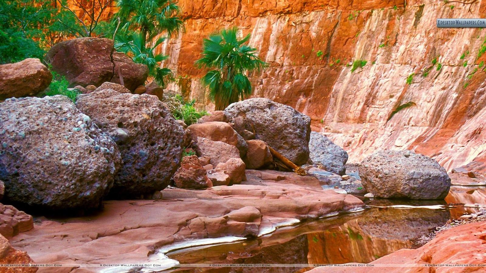 1920x1080 Hidden Oasis, El Cajon Canyon, Baja, Mexico Wallpaper