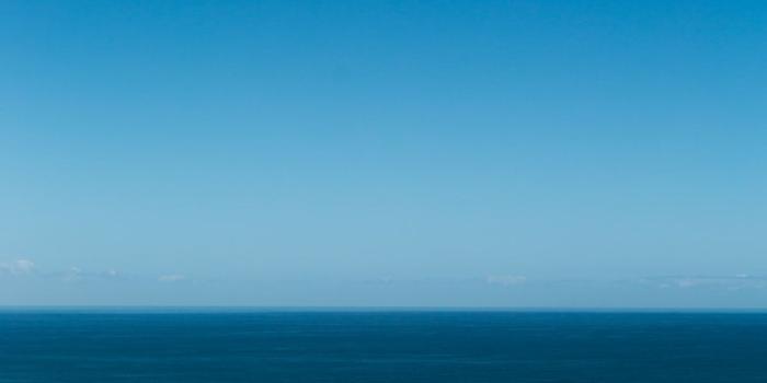 1000x1500 Best 20+ Blue Sky Pictures | Download Free Images on Unsplash