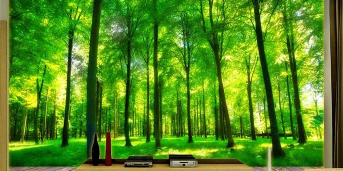 1000x800 ShAH The Murals On The Wall 3D Wallpaper Mural Floor Sticker 3D