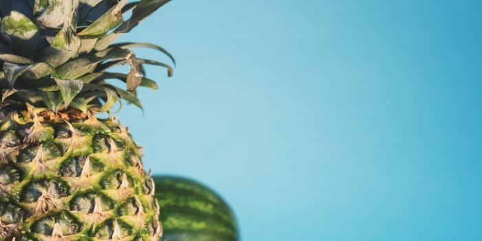 1366x768 Download wallpaper 1366x768 pineapple, watermelon, fruit tablet