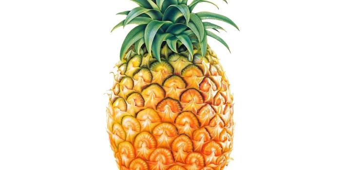1600x1200 Awesome, Pineapple, High, Resolution, Wallpaper, Photos, New, Best