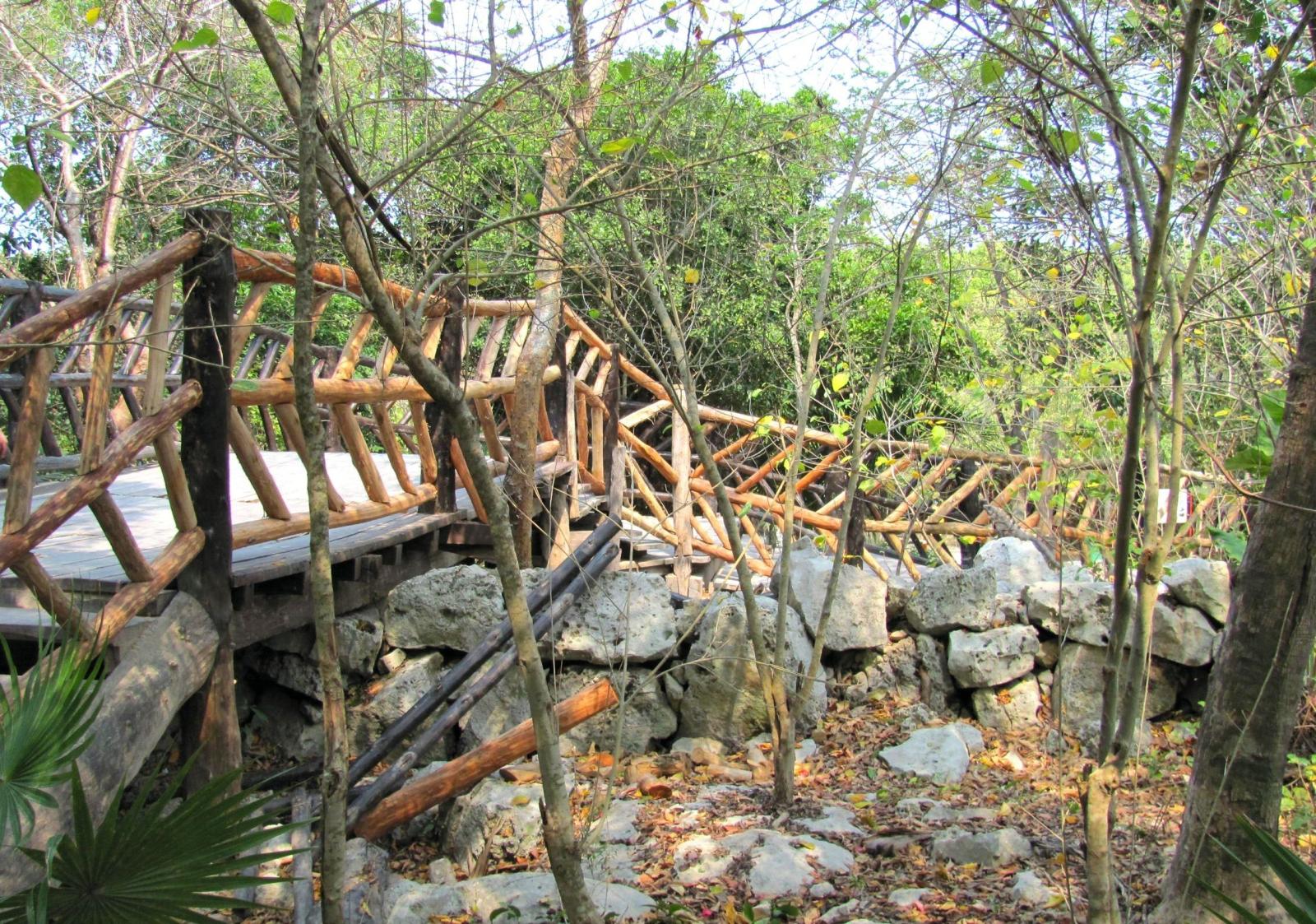 2268x1592 Forest: Wood Tropics Nature Tropical Mexico Forest Bridge Autumn