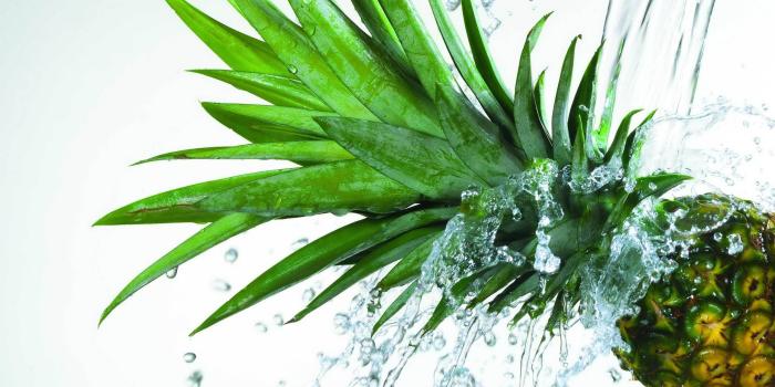 2560x1600 HD wallpaper: pineapple fruit, pineapples, water, food, motion