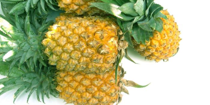 1920x1200 Pineapple Wallpapers