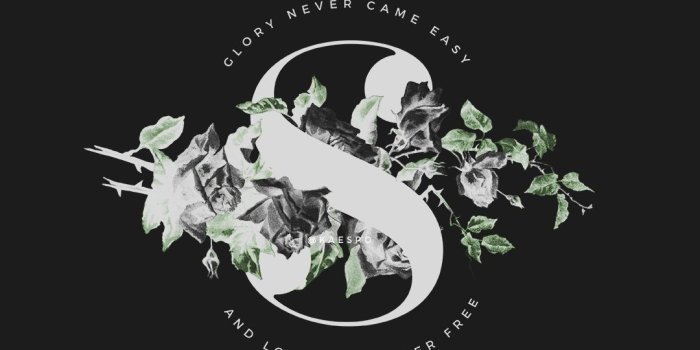 1080x1920 80+ Slytherin Iphone Wallpapers on WallpaperPlay