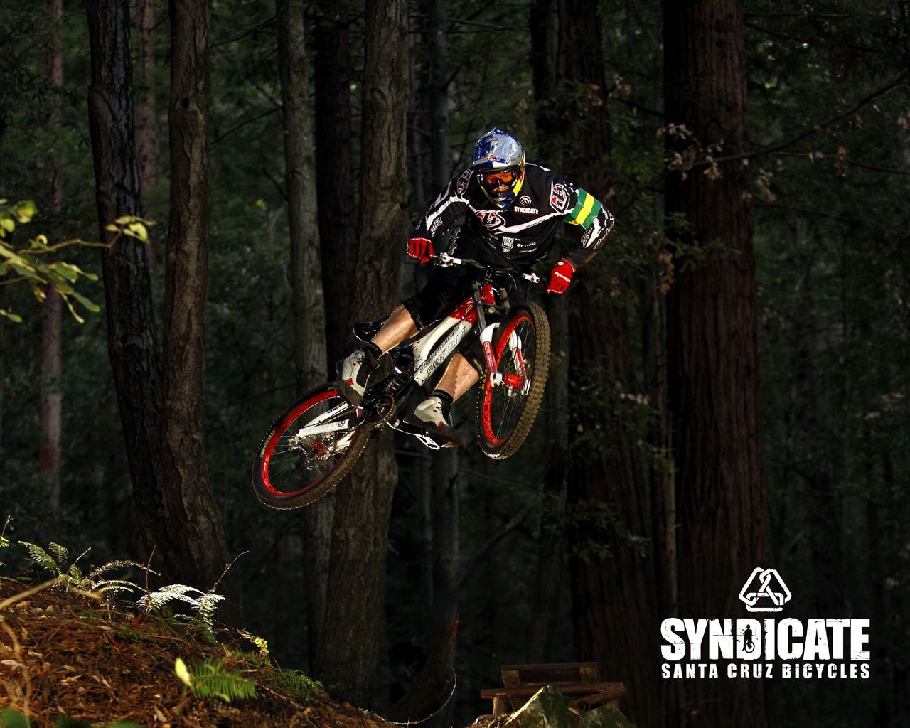 1280x1024 Timothy Brault on Down Hill MTB | Mountain biking, Pro