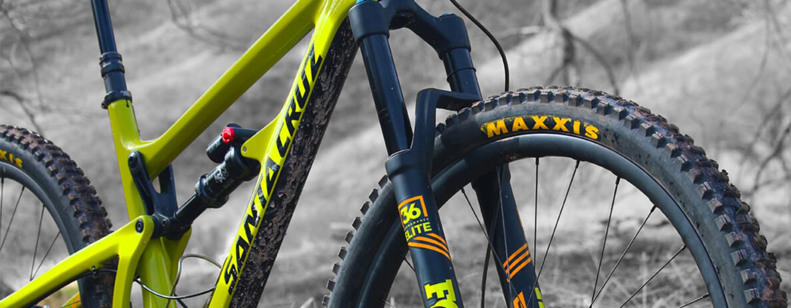 2000x780 Introducing Santa Cruz