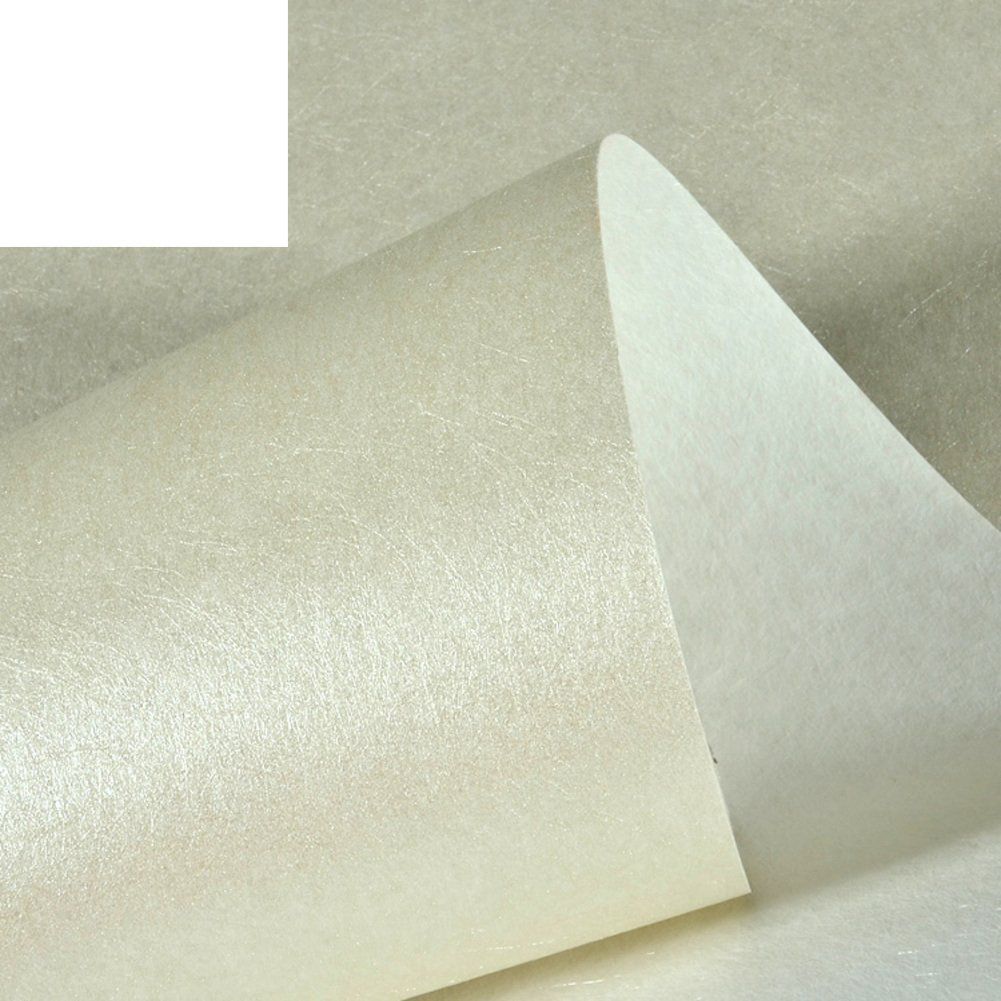 1001x1001 wallpaper/pure colour plain color wallpaper/3D Silk wallpaper/modern