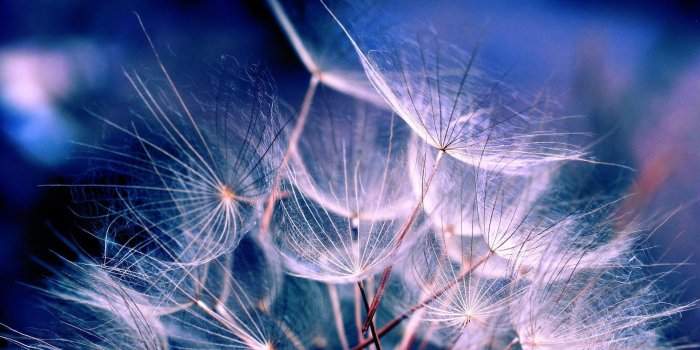 2880x1800 Aesthetic Wallpapers HD HD Wallpapers Download Free Windows