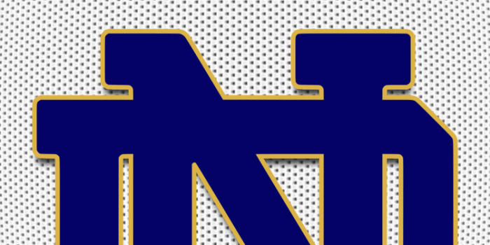 750x1334 Notre Dame Screen Wallpaper | gallery | Notre dame leprechaun, Notre