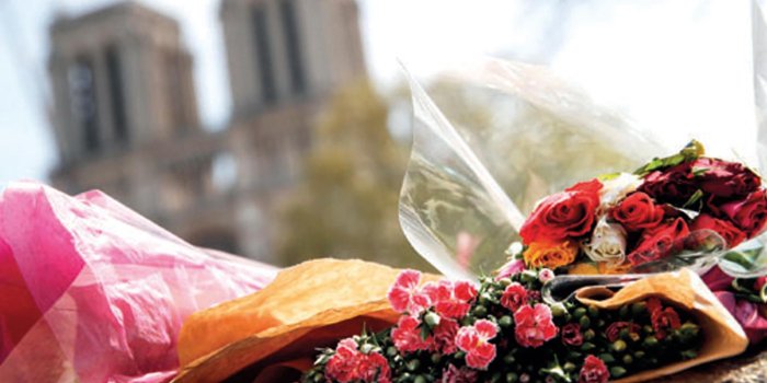 1600x1200 Paris: An 'ephemeral' cathedral of wood for Notre-Dame