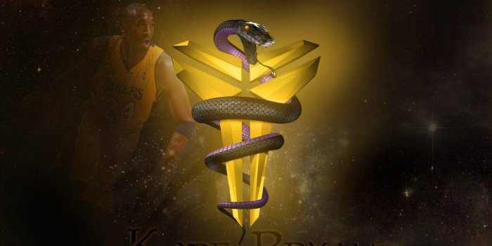 1600x1000 Black Mamba Wallpapers