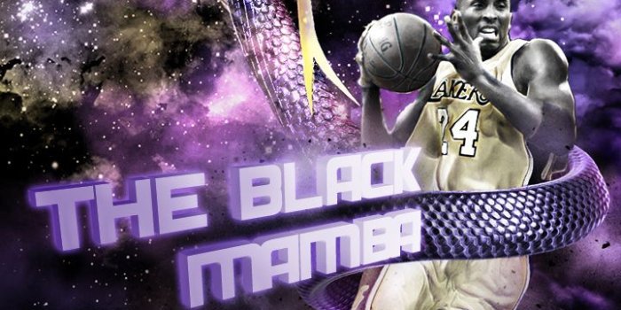 720x1280 Download black mamba wallpaper weddingdressincom [720x1280] | 45+