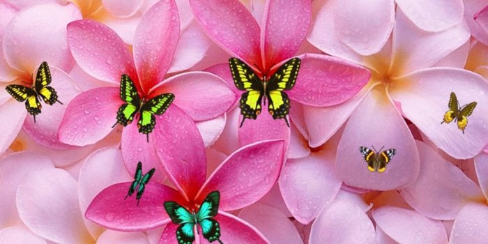 1152x864 Cute Girly s wallpaper | 1152x864 | #57350