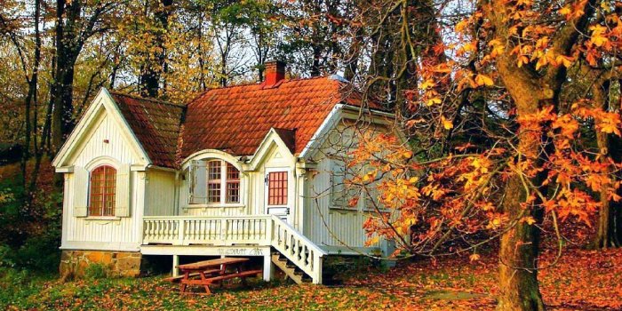 1024x768 Beautiful Nature Wallpapers Hd, Desktop Wallpapers, Hd Free Photos