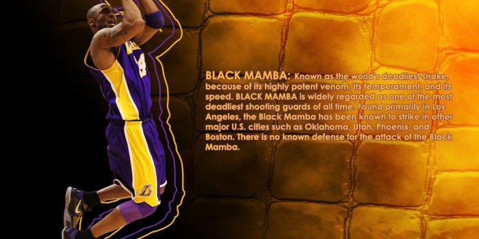 1024x768 The Black Mamba | Kobe Bryant Desktop Wallpaper 1024 x 768 | JM