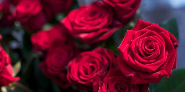 1920x1200 Aunt Jeanine: A Poem | Her Campus