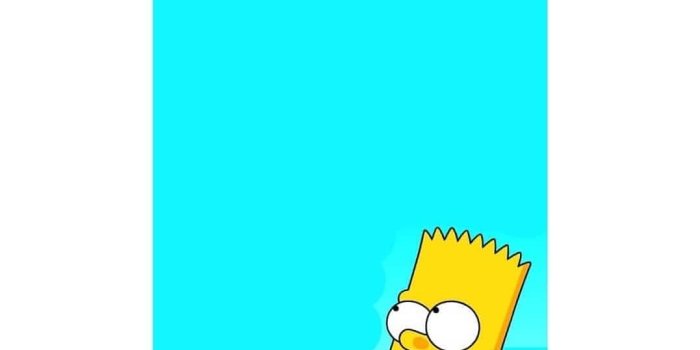 1077x1077 Images and Videos tagged with #simpson on Instagram - Instagram Explorer