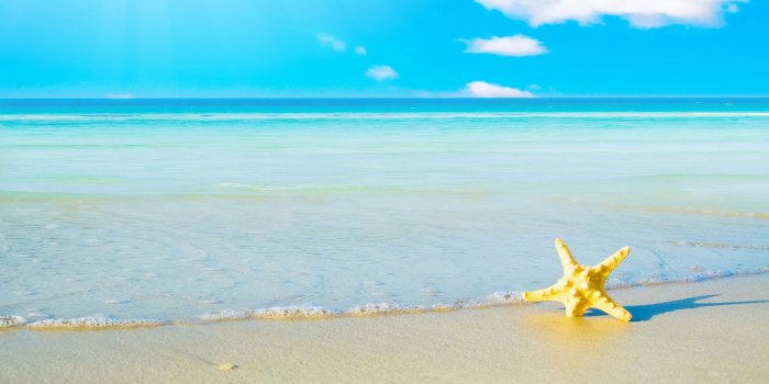 1920x1200 HD Summer Desktop Backgrounds