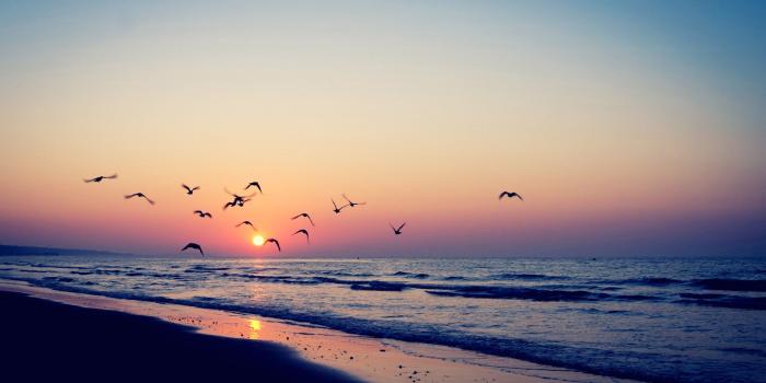 2560x1600 Tumblr Summer Desktop Wallpapers - Top Free Tumblr Summer Desktop