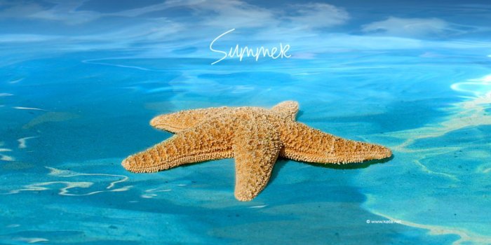 1324x819 Summer 3D Graphic Design Wallpaper Hd | Views Wallpapers