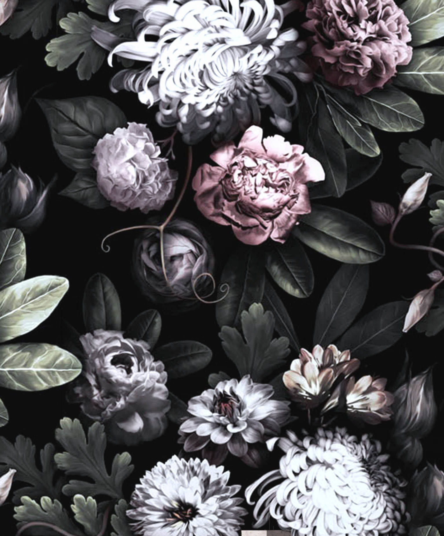 1534x1854 Dark Floral Wallpaper, floral wallpaper, dark flowers, Peony