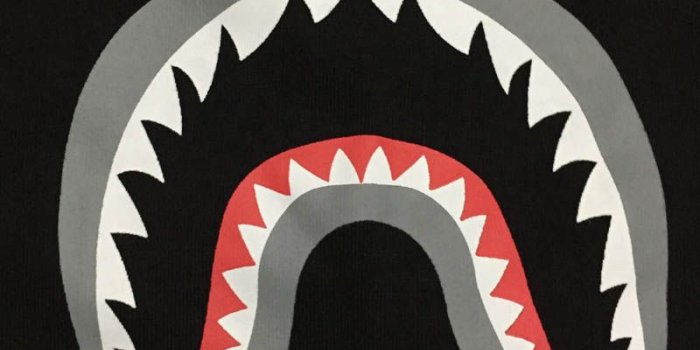 800x1014 Bape Shark Logo Wallpaper ,free download, (58) - cerc-ug.org