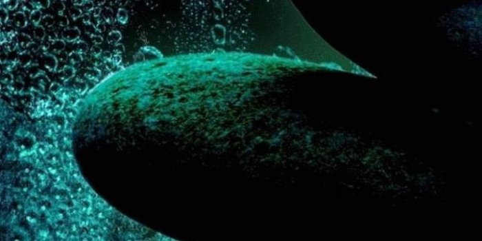 720x1280 95+] Galaxy A5 Wallpapers on WallpaperSafari