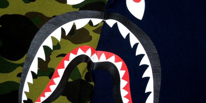 1024x768 Bape Shark Logo Wallpaper ,free download, (58) - cerc-ug.org