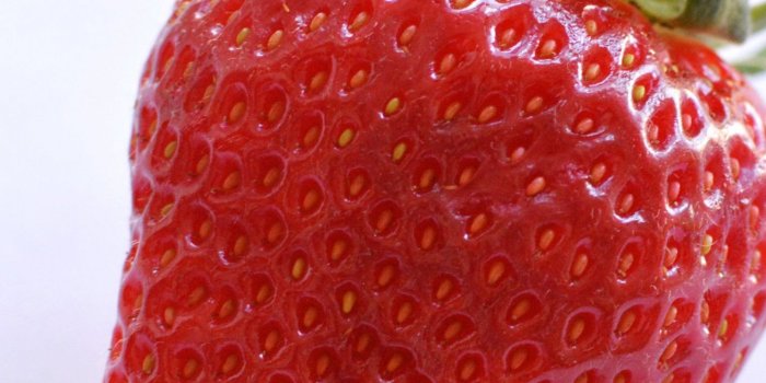 1440x2560 Strawberry Wallpaper - iPhone, Android & Desktop Backgrounds