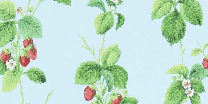 900x1000 Sanderson - Summer Strawberry Wallpaper