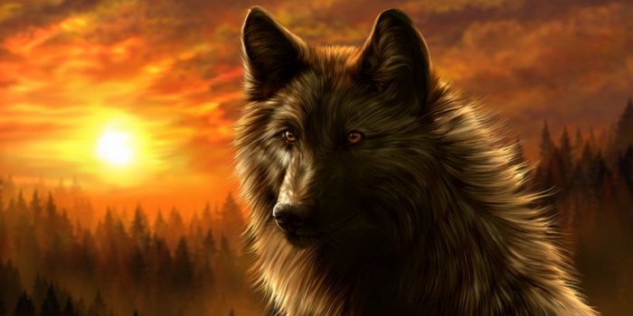 1024x768 Dark Wolf Wallpaper - Best HD Wallpapers