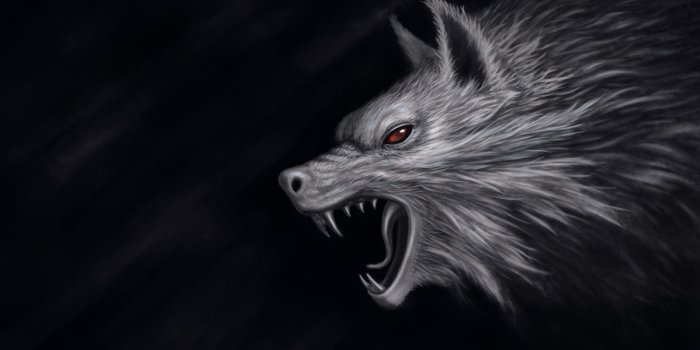 2186x1229 Dark Wolf Wallpapers - Top Free Dark Wolf Backgrounds - WallpaperAccess